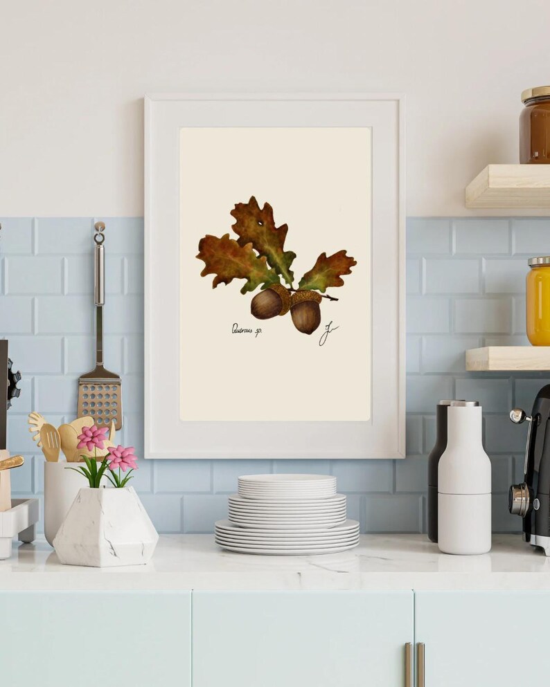Quercus print in a white frame on a kitchen wall