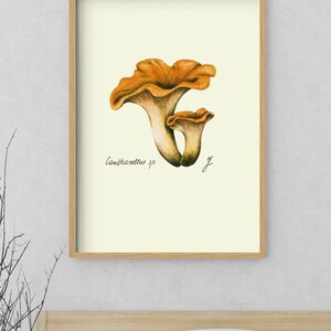 Chanterelle print in a wooden framed print above a bed