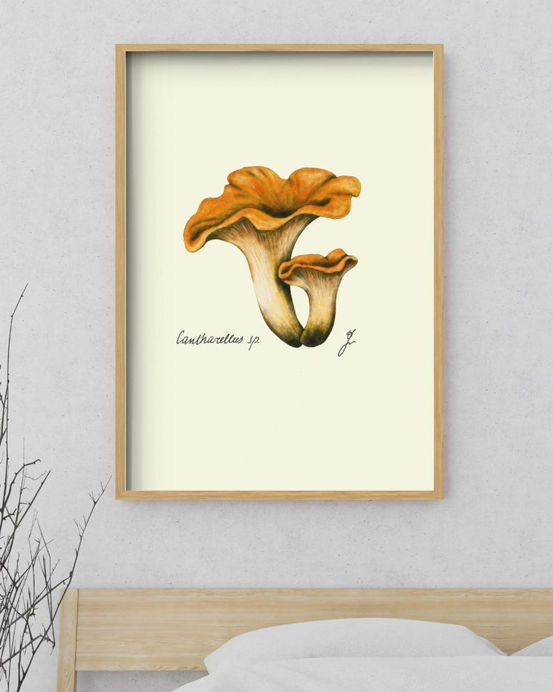 Chanterelle print in a wooden framed print above a bed