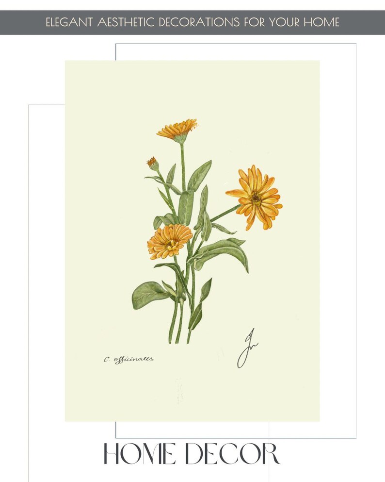 Calendula print example as card