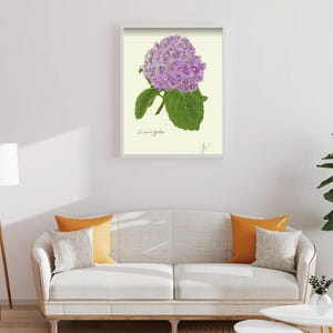 Hortensia print in a white framed print on a white wall above a white couch