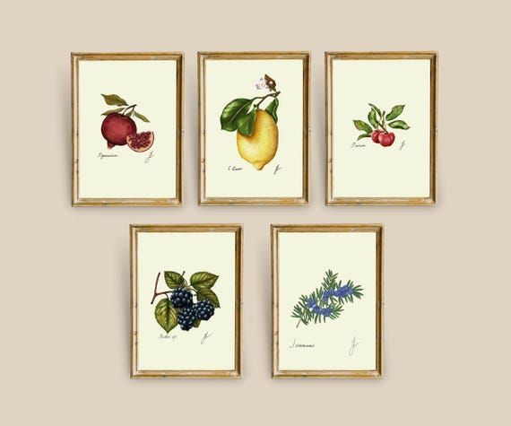 Botanical Fruit Prints: Kitchen Dining Room Wall Art (Digital Download)