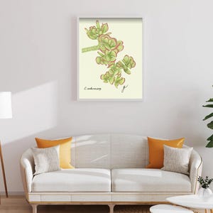 Jade print in a white framed print on a white wall above a white couch