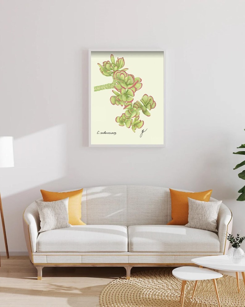 Jade print in a white framed print on a white wall above a white couch