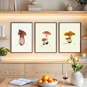 Mushroom Prints: Botanical Fungi Art, Forager Kitchen Decor (Digital Download) image 13