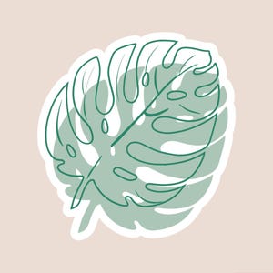 Pegatina de Monstera / Pegatina para amantes de las plantas / Pegatina de hoja / Calcomanía de hoja tropical / Calcomanía para amantes de las plantas / Regalo de Monstera / Pegatina verde para Kindle