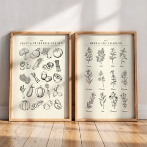 Obst- und Gemüsegarten | Kräuter- und Gewürzdruck | Küche Dekor | Lebensmittel Poster | Zeichnung Wandkunst | Set von 2 minimalistischen Drucken