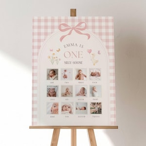Può includere: Un cartello rettangolare con motivo a quadretti rosa e bianco, una cornice ad arco con un fiocco e il testo Emma is one silly goose. Include dodici spazi quadrati per foto etichettati da uno a dodici con illustrazioni di un'oca.