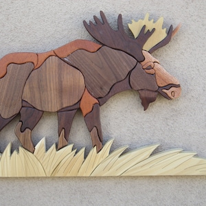 Moose 4531 intarsia