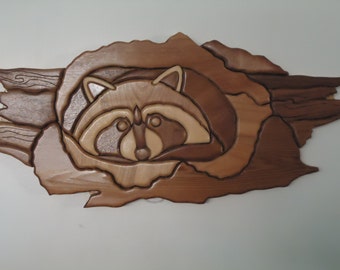 Raccoon in a Burl 4540