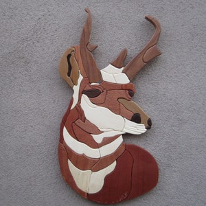 Antelope (4599) Intarsia