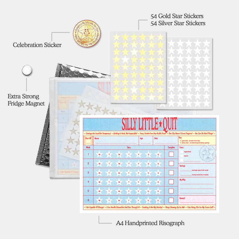 May include: A kit with a motivational theme, including a fridge magnet, stickers, and a chart. The chart has a blue background with star graphics and the text "SILLY LITTLE QUIT". The kit includes 54 gold and 54 silver star stickers.