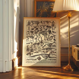 Puede incluir: Una impresión vintage enmarcada con ilustraciones detalladas de varios esqueletos de animales en blanco y negro. La impresión está en un marco dorado y descansa sobre un suelo de madera, con una lámpara y una obra de arte en el fondo.