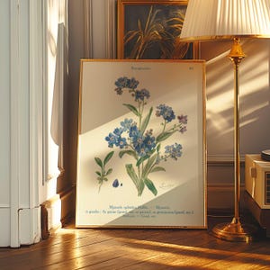 Vintage botanischer Druck von blauen Vergissmeinnicht | Blumen Wand Kunst | Antike Pflanzen Illustration | Natur Deko für Haus & Garten