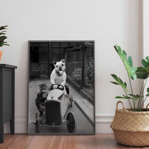 Grappige hondenkunst | Zwart-witafdruk | Print bulldog en kat rijdende auto | Vintage muurkunst | Poster hond chauffeur | Katten- en hondenkunst