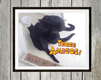 Three Amigos Feral Cats Print Chow Time