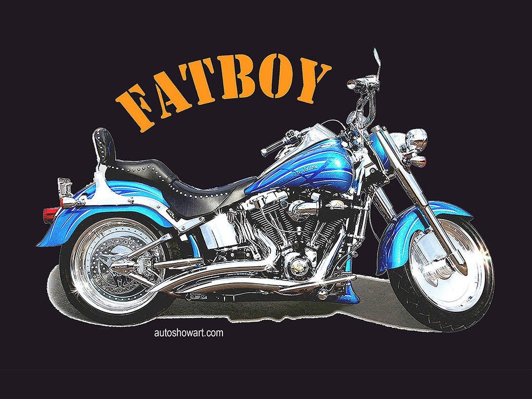 Print Harley Davidson fatboy Motorcycle - Etsy Canada