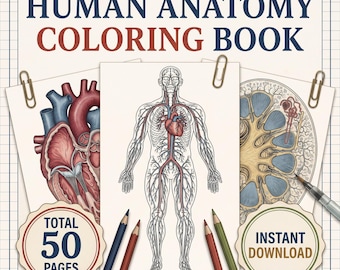Puede incluir: Un libro de colorear de anatomía humana con 50 páginas y el texto instant download. La portada presenta ilustraciones del sistema circulatorio, un corazón y un riñón, sujetas con clips, junto a cuatro lápices de colores sobre fondo cuadriculado.