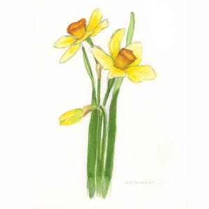 Original Aquarell Malerei - gelbe Narzissen - Frühlingsblume - Blumenkunst - handgemalt - handgezeichnet