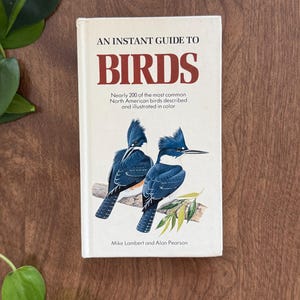 May include: A hardcover book titled An Instant Guide to Birds by Mike Lambert and Alan Pearson. The off-white cover features a color illustration of two blue and white kingfishers perched on a branch, with the title in large red text.
