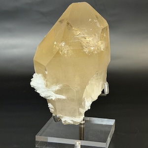 May include: A large, translucent, golden-yellow quartz crystal specimen with a pointed termination. The crystal features clusters of white, fibrous mineral deposits along its base and sides, mounted on a clear, square acrylic display stand.