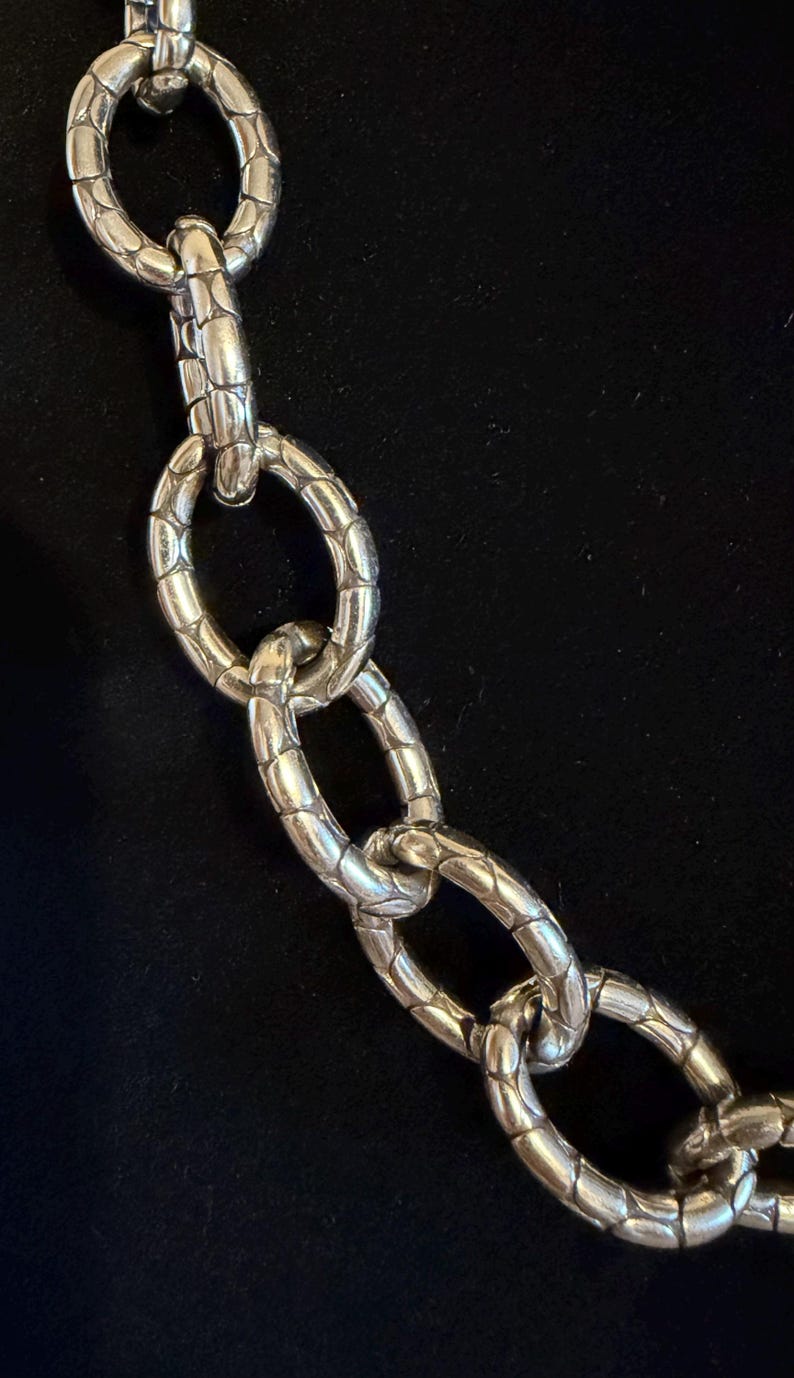 Puede incluir: Primer plano de un collar de cadena plateada con eslabones ovalados. Los eslabones tienen un patr&oacute;n texturizado en forma de escamas. La cadena se muestra sobre un fondo oscuro, resaltando el brillo met&aacute;lico de la joya.