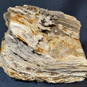 May include: A piece of petrified wood featuring a rough, layered texture with a color palette of earthy browns, tans, grays, and muted orange streaks. The surface displays natural striations, crevices, and mineralized wood grain patterns.