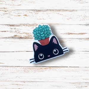 Sticker autocollant Chat succulent en vinyle imperméable