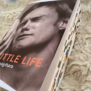Peut inclure: Un livre intitulé "Little Life" de Hanya Yanagihara. La couverture présente un portrait en noir et blanc d'un homme les yeux fermés et la main sur le front. La tranche du livre est ornée de rayures verticales colorées.