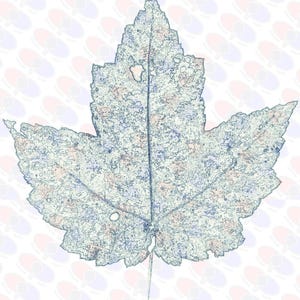 May include: A digitally enhanced image of a leaf with a textured appearance. The leaf is primarily light blue with darker blue outlines and subtle pink and beige accents. The background features a repeating pattern of light blue and red ovals.