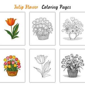 Peony Flower Coloring Pages – Adults and Kids Botanical Line Art PDF, Mindfulness Coloring Sheets, Instant Download