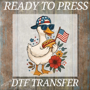 Boy Silly Goose, DTF Transfers, Ready to Press, T-shirt Transfers, Heat Transfer, Direct to Film, 4th of July Kids Patriotic Shirt, Summer