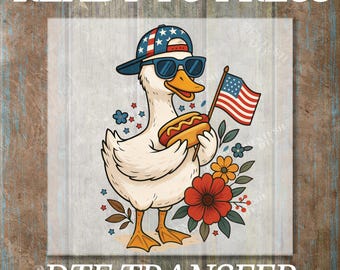 Boy Silly Goose, DTF Transfers, Ready to Press, T-shirt Transfers, Heat Transfer, Direct to Film, 4th of July Kids Patriotic Shirt, Summer
