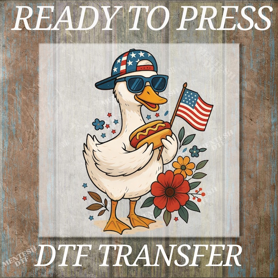 Boy Silly Goose, DTF Transfers, Ready to Press, T-shirt Transfers, Heat Transfer, Direct to Film, 4th of July Kids Patriotic Shirt, Summer