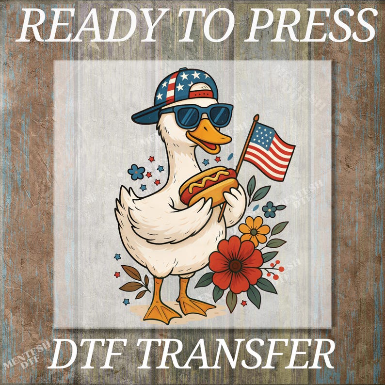 Boy Silly Goose, DTF Transfers, Ready to Press, T-shirt Transfers, Heat Transfer, Direct to Film, 4th of July Kids Patriotic Shirt, Summer