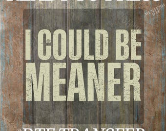 I Could Be Meaner DTF, Iron On Transfer, High Quality, Trend Gift, Perfect Gift for Nice People, Parent, Confident and Funny Apparel