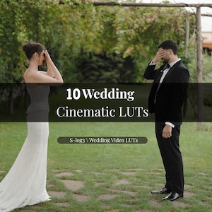 10 Cinematic Film LUTs for iPhone & Mobile Video, Professional Color Grading Presets