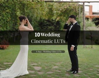 10 Cinematic Film LUTs for iPhone & Mobile Video, Professional Color Grading Presets