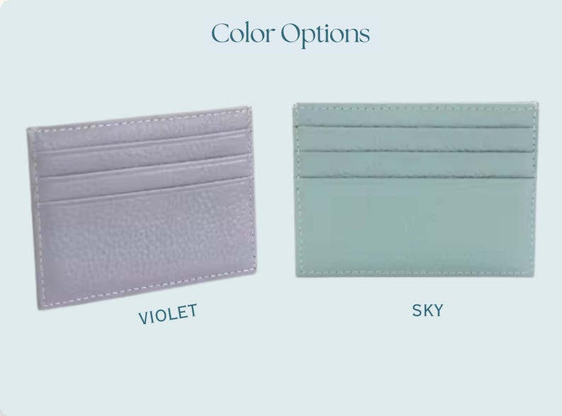 Credit card holder options in violet and sky blue.