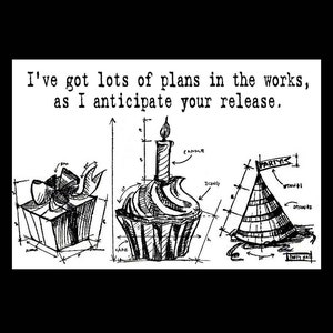 Prison Release Card, Prison Greeting Card, Funny Prison Card, Jail Card, Incarceration Card, Prison Humor Card, Convict Card, Card For Inmat