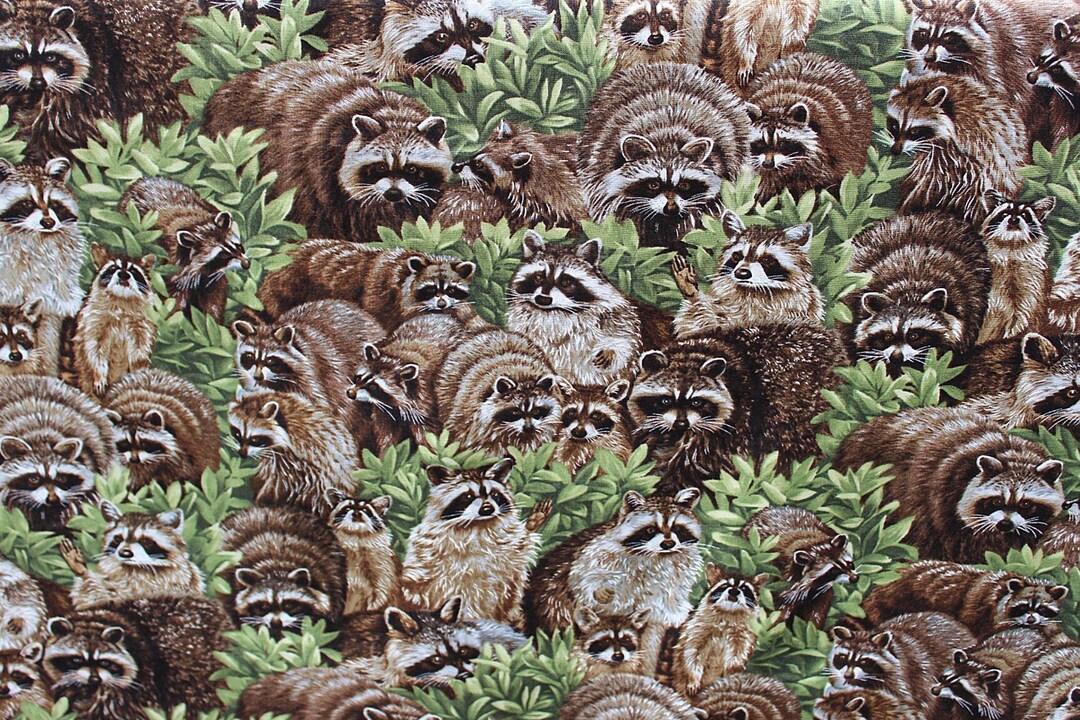 Raccoon Fabric, 18 in X 44 In, Backyard Bandits, Raccoons Fabric ...
