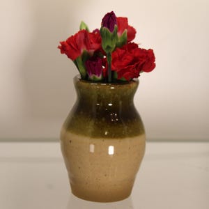 Könnte beinhalten: Eine kleine, grüne und beige Keramikvase mit rundem Körper und schmalem Hals, gefüllt mit roten und violetten Nelken.
