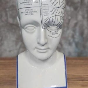 Vintage L.N. Fowler Phrenology Head – Limited Edition GSK Pharmaceutical Promo (30cm Tall)