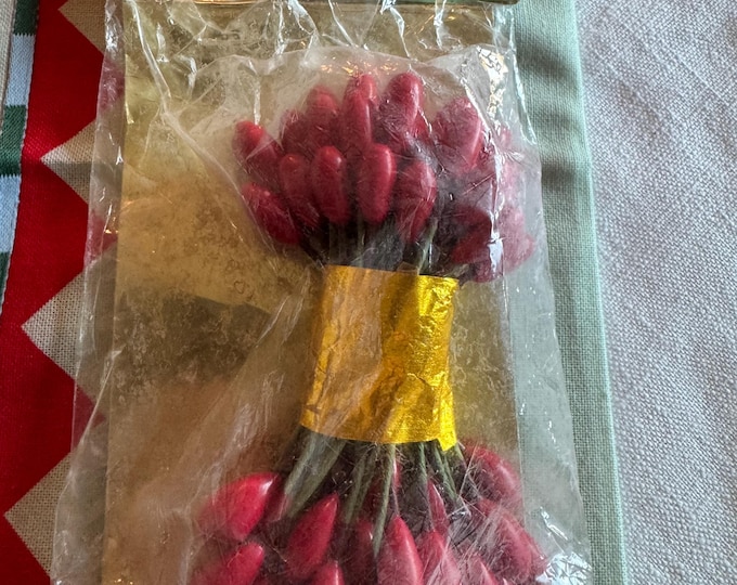 Vintage NOS Woolworth Berries Package Ties: Made in Japan