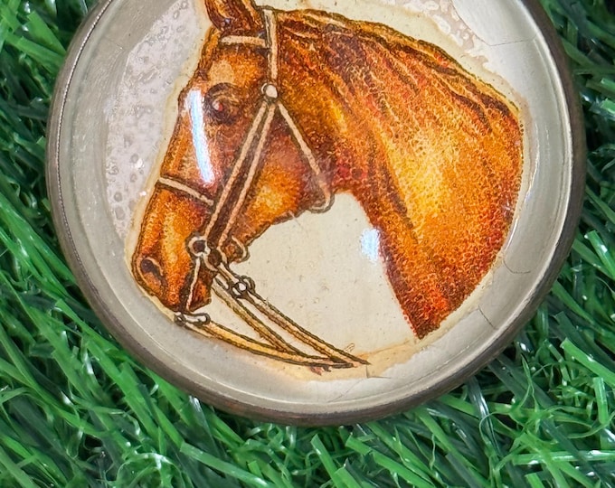 Vintage Horse Head Bridle Rosette Pin, 1950