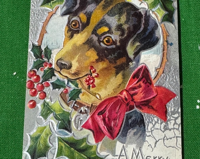 Vintage Jack Russell Terrier Merry Christmas XMAS DOGS Series Postcard-Unmarked-Used-1910 postmark