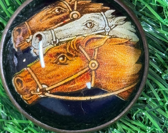 Vintage Three Horse Head Bridle Rosette Pin, 1950