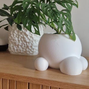 Può includere: Una fioriera bianca, sferica, con tre piccoli piedini rotondi, che contiene una pianta verde con foglie uniche e forate. Un'altra fioriera bianca strutturata è sullo sfondo. Le fioriere sono su una superficie di legno.