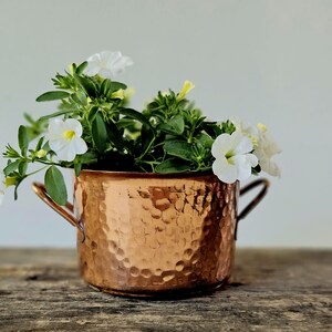 May include: A copper-coloured hammered metal planter with two handles, filled with green foliage and white flowers. The planter sits on a wooden surface, creating a rustic aesthetic. The flowers have yellow centres.