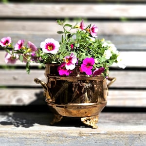 Puede incluir: Una jardinera de latón vintage llena de flores vibrantes. La jardinera tiene forma redonda con patas y asas ornamentadas. Las flores son una mezcla de rosa, blanco y morado, creando una exhibición colorida. La jardinera está sobre una superficie de madera.
